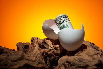 Conceptual photo. A hundred dollar bill rolled out of an egg. Near a piece of wood. - 246184986