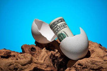 Conceptual photo. A hundred dollar bill rolled out of an egg. Near a piece of wood. - 246185142
