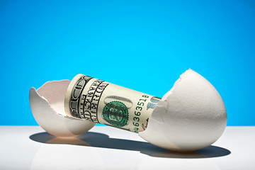 Conceptual photo. A hundred dollar bill rolled out of an egg. - 246185160