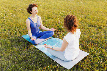 Charming fit beautiful healthy young girls sit in the lotus position on a rug on a green lawn and meditate with closed eyes. Concept of joint training and spiritual purification
