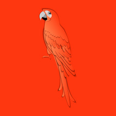 Coral parrot. Coral succulent background. Color of the year 2019 Living Coral. 3D vector illustration. Paper cut out style.