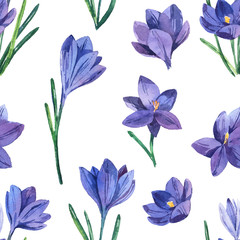 Fototapeta premium Seamless pattern with watercolor crocuses. Spring bright flowers. Seamless background.