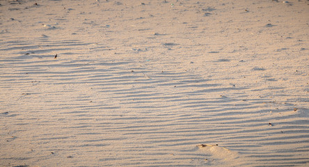 footprint in the fine sand by the sea