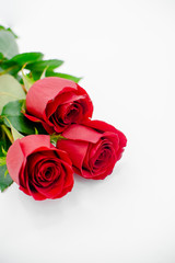 Flowers composition made of rose flowers on white background. Flat lay, top view, copy space . Horizontal view, several objects