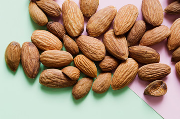 almond seeds on bright colored background