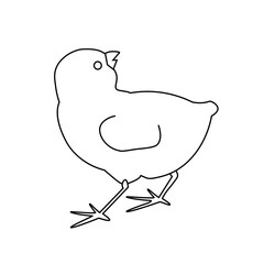 Black and white vector little easter chick
