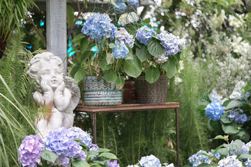 Love Cupid. A classic cupid statue decorated for Valentine's day in a glass house, with hydrangea flowers.