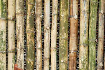 Bamboo Wood Bark Aged Oriental Texture Background
