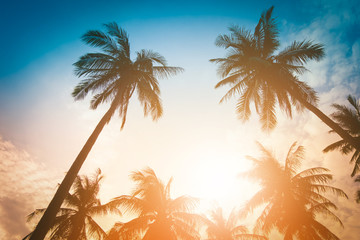 Silhouette coconut palm trees on beach at sunset. Vintage tone.