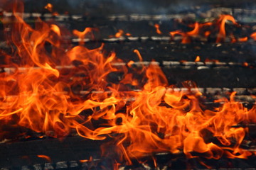 Fire is a phenomenon of nature that turns all flammable materials into thermal energy and light.