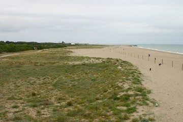 Barcelona. Delta del Llobregat. Park in Spain