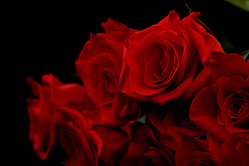 Gorgeous red roses on a black background. Bouquet of beautiful roses on valentine's day, birthday, anniversary.