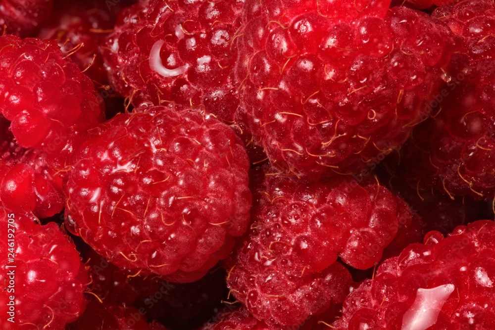 Wall mural Closeup detail of raspberries wet from drops of water.