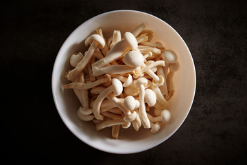 Beech mushroom 