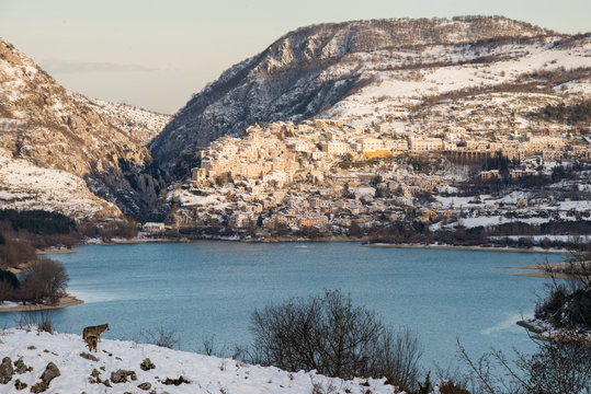 Gianluca Scerni photos, images, assets  Adobe Stock