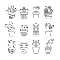 Cute cactus set, different types of cacti in patterned plant pots, vector illustrations, succulent isolated outlined icon collection.