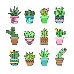Cute cactus set, different types of cacti in patterned plant pots, vector illustrations, succulent isolated outlined icon collection.