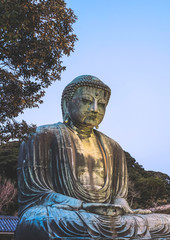 Daibutsu the bronze statue,The Great Buddha of Kamakura at Kotoku- In Temple in Kamakura, Kanagawa Japan.