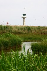 Barcelona. Delta del Llobregat. Park in Spain