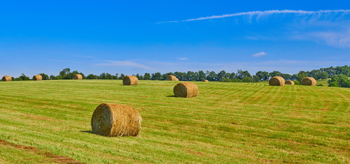 Round Hay Bails in a Field, KY