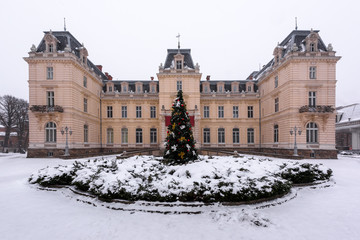 Lviv, Ukraine - January 5, 2019: Potocki palace in Lviv in winter time