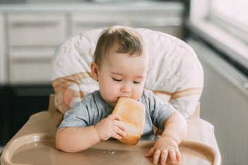 Fototapeta premium baby in the kitchen in the high chair there is a piece of bread