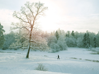 Walking man in winter Park. Northern winter landscape with a man.