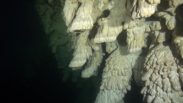 Miniature bell speleothems deep in Mexican cavern