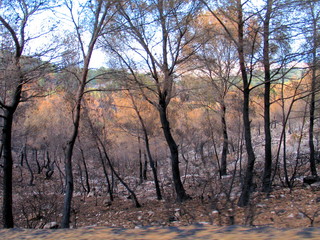 Oropesa. Castellon .Valencian Community