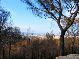 Oropesa. Castellon .Valencian Community