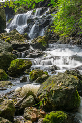 waterfall in the forest