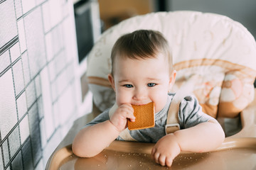 little girl in a high chair eating cookies