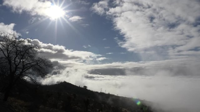 A look out over the Rogue Valley, from Roxy Anne Southern Oregon.  The sun shines brightly, but clouds roll in and block most of the sun, leaving a silhouette of tree and bush.