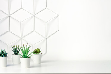 Creative hipster's desk at a white wall. A natural space for hobbies and work. Succulents in front of a metal graphic board - toolbox. Copy space for text