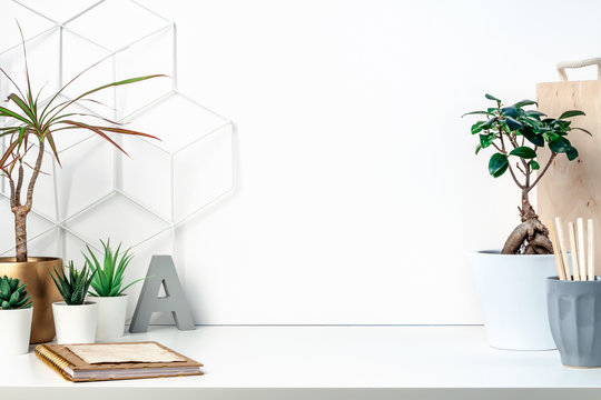 Creative hipster's desk at a white wall. A natural space for hobbies and work. Succulents and plants, a mug with wooden pencils, a notebook and a metal graphic board - a toolbox. Copy space for text