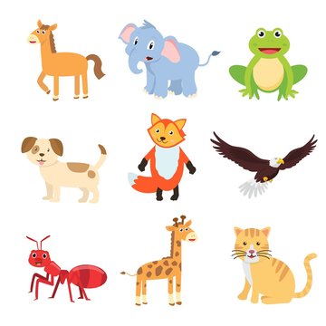 Set of animals for children learning the English words and vocabulary.