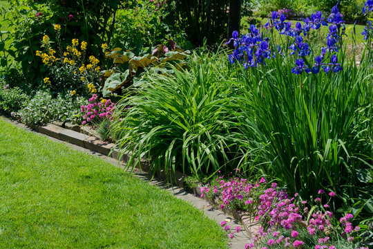 Detailansicht im Garten