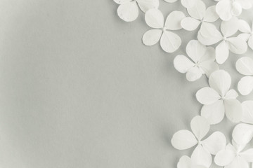 Summer white wild flowers on grey background. Springtime floral composition. Flat lay, copy space