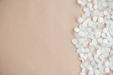 Summer white wild flowers on pink background.  Springtime floral pattern wallpaper. Flat lay, top view, copy space.