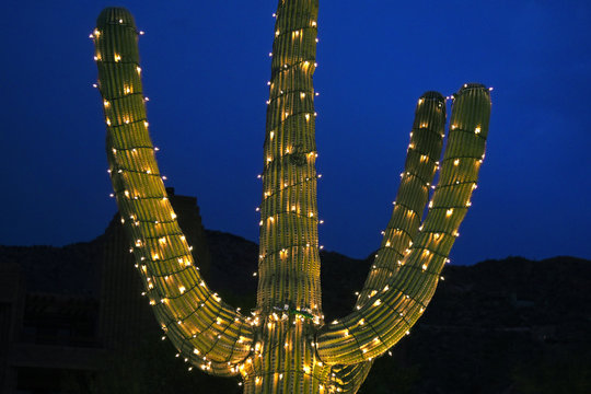 Saguaro cactus decorated with chain of lights in front of blue evening sky