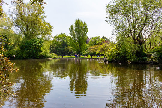 Lake of St Stephen's Green