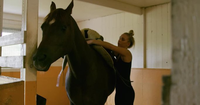 Young woman saddling up her horse for horseback riding indoors in stable