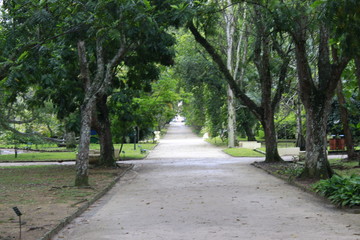 Natureza