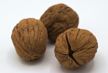 walnut photographed closely