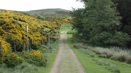 KODAK Digital Still Camera © agent_halstein