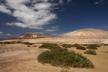 Fuerteventura - Playa Barca, Canary Islands, Spain