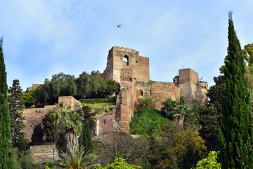 Fototapeta na wymiar View of Alcazaba from the Plaza del General Torrijos, Malaga, Spain