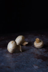  Mushroom Boletus over Wooden Background