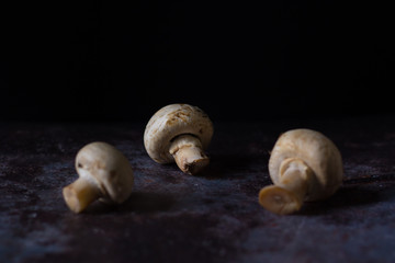 Mushroom Boletus over Wooden Background. Autumn Cep Mushrooms. Ceps Boletus edulis over Wooden Dark Background, close up on wood rustic table. Cooking delicious organic mushroom. Gourmet food.