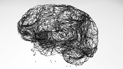 Brain neurons connections